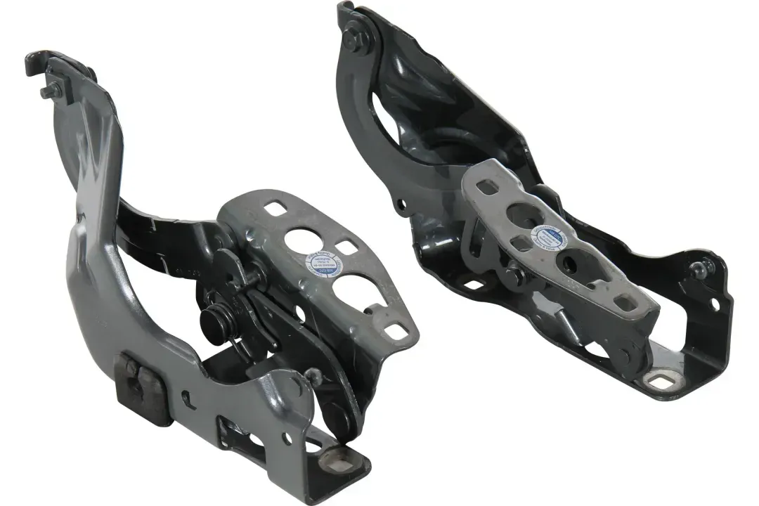 LID HINGE SET